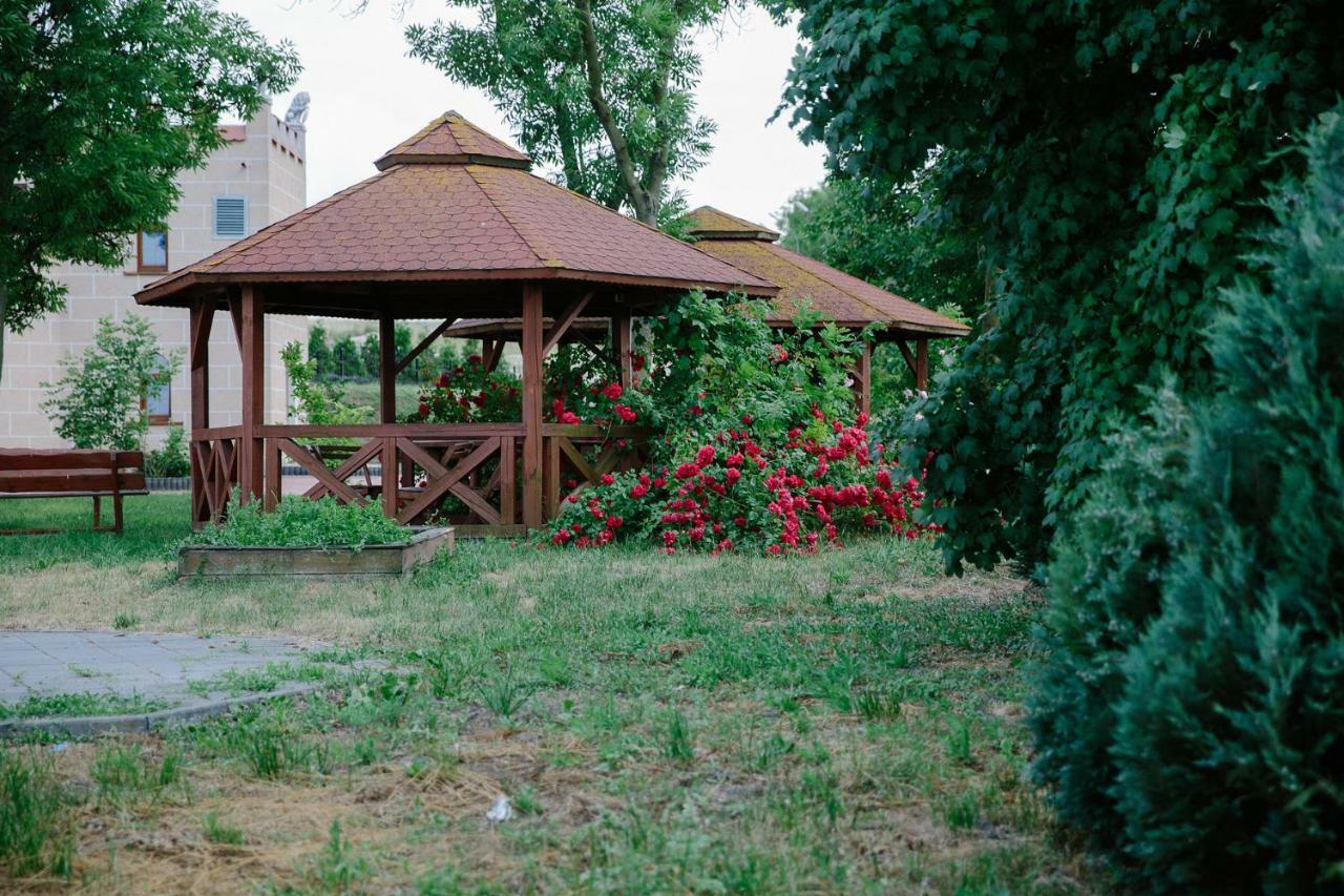 Palac Koronny Noclegi & Wypoczynek Wodzisław Exterior foto